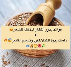 فوائد بذرة الكتان المذهله لترطيب وتنعيم الشعر Food Breakfast