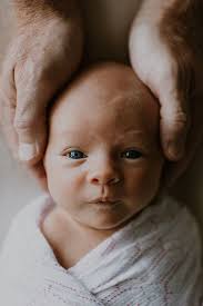 Jacqueline Trout (j2sweet65)