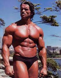 Im übrigen sollten die beiden turteltauben der veranstaltung in der populären wintersporthochburg auch in den folgejahren die treue. Arnold Schwarzenegger Trainingsplan Tipps Der Legende