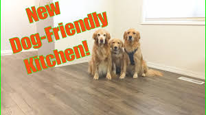 Home depot has a line called outlast with spillprotect. Dog Friendly Kitchen Upgrade Pergo Outlast Review Youtube