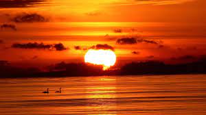 Free download new latest sunset point, hd desktop wallpapers, wide most popular best beautiful images in high resolutions, wonderful background photos and sunset at beach. Sunset Wallpapers Hd Wallpaper Cave
