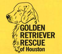 Golden retriever · houston area. Golden Retriever Rescue Of Houston Woodlands Online