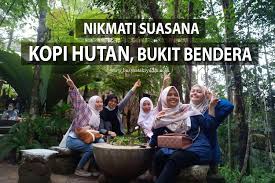 Senarai waktu operasi utc malaysia 2021 termasuk pejabat cawangan & kioks kwsp dan lhdn yang terkini. Kopi Hutan Bukit Bendera Penang Hidden Places