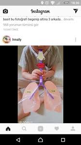 Science Experiment Experiment Science Science Experiments Kids Science For Kids Preschool Science