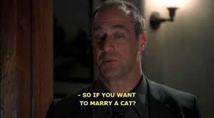 This episode was written for true crime fans. Snitch Season 9 Episode 10 Law And Order Law And Order Special Victims Unit Law And Order Svu