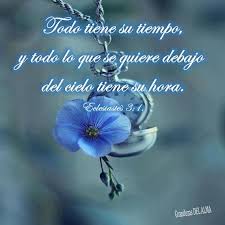 Todo Tiene Su Tiempo Frases De Salmos Versiculos Biblicos Versiculos Biblicos De Animo