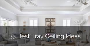 The fabric panels hanging on the bed frame create a romantic cocoon. 33 Best Tray Ceiling Ideas Sebring Design Build Design Trends