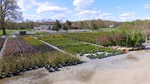 The current property was purchased and the current store built in august of 1978. Our Family Owned Nj Garden Center Offers The Best Native Plants And Trees Cerbo S Parsippany Greenhouse