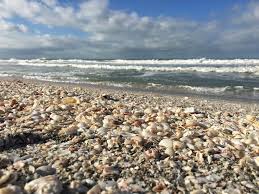 Maybe you would like to learn more about one of these? Tween Waters Island Resort Spa Top Rated On Captiva Island Captiva Island Beaches Captiva Island Island Resort
