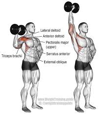Resultado de imagem para dumbbell ohp