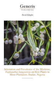 Image result for Tapinanthus