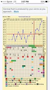 Fertility Chart What To Look For