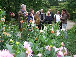 Willkommenstag Freundinnen Und Freunde Des Botanischen Gartens Der Stadt Linz