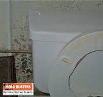 Ultimate Guide to Toilet Mold: Causes, Removal, and Prevention