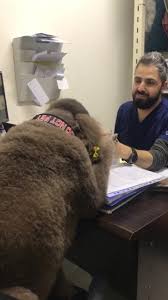 Our veterinary clinic and animal hospital is run by dr. First Pet Veterinary Clinic And Grooming Home Facebook