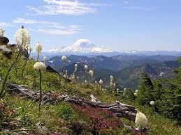 …and the younger supporters of stepan bandera with actual experience in the conspiratorial. Bandera Mountain Washington Trails Association