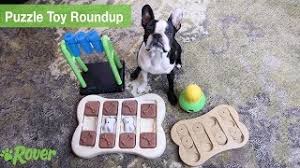 As you can see, there are countless ways to make the most of your dog's daily meals by combining eating with mental stimulation and physical exercise. Best Puzzle Toys Top Interactive Toys To Keep Dogs Busy