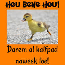 Hou Bene Hou Darem Al Halfpad Naweek Toe Afrikaans Humor Afrikaanse Quotes