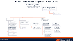 Organizational Chart Global Initiatives Utsa