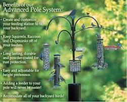 Bird Feeder Pole System Wild Birds Unlimited Best Pole To Get Your Bird Feeding Hobby Organized Wild Birds Unlimited Wild Birds Bird Feeders