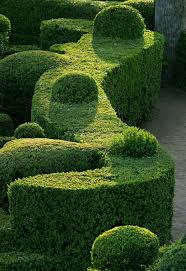 Landschaft Buchsbaum Straucher Schneiden Deko Ideen Formschnitt Garten Formschnittbaume Formschnittgartnerei