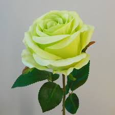 Unusual flowers rare flowers amazing flowers white flowers beautiful flowers beautiful gorgeous flowers uk beautiful dragon yellow roses. Artificial Rose Carnival Lime Green Flowers Artificial Flowers
