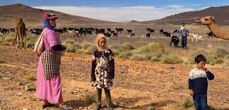 نتیجه جستجوی لغت [nomadic] در گوگل