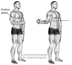 Cable External Shoulder Rotation This Is A Very Important Exercise For Shoulder Health Visit Website To Learn Cable Workout Shoulder Workout Deltoid Workout