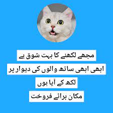 Easily share it with your loved ones including your friends and family members. Funny Status In Urdu You Can Observe People By Their Wealth Seekhly