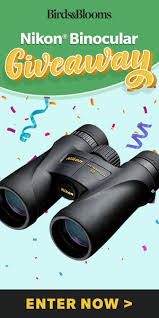 Birds Blooms Magazine Telephone Number Https Encrypted Tbn0 Gstatic Com Images Q Tbn 3aand9gcqixdmxvhig0hqskryxske1pxrbb7bdrvxlqa Usqp Cau