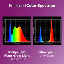 We did not find results for: Amazon Com Philips Led Plant Grow Light Bulb Par38 1325 Lumen Daylight 5000k 15 5w E26 Base Title 20 Certified 1 Pack Patio Lawn Garden