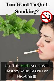 Pin On Culinary And Health Knowledge