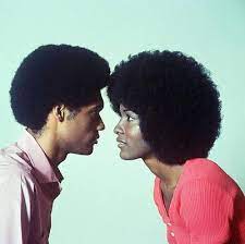 Pin On How Fro Can You Go Afro Natural Hair Styles Afro Textured Hair