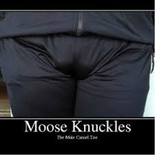 Share all sharing options for: Moose Knuckles Mcboogie S Brewery Untappd