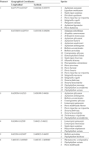 Image result for Asplenium mildbraedii