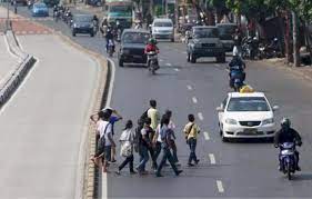 Dilokasi sore ini babi hutan atau kejaran nyaris menyeberang jalan tanah. Menyeberang Sembarangan Bagooli Com