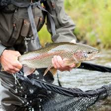 Tom Larimer's King Rig