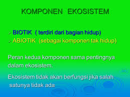 Komponen Ekosistem Ppt Download