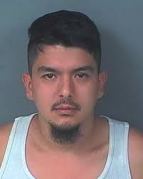 HCSO Arrests Public Records Results