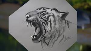 If you want to draw royal bengal tiger, follow our tutorial. Royal Bengal Tiger Of Sundarban How To Draw A Tiger Sketch Step By Step Video Dailymotion