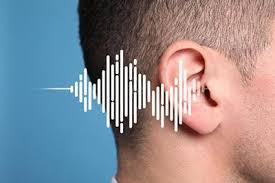 Image result for Tinnitus