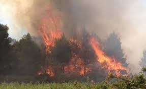 Face au risque d'incendie : Agde Un Pompier Sous Officier Suspecte D Etre Un Incendiaire En Serie