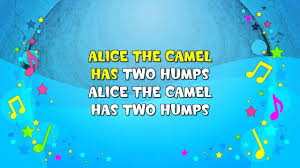 Children love to sing playlist 1 hour best kids preschool kindergarten songs mp3. Alice The Camel Sing A Long Youtube