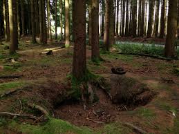 The events around bastogne in december 1944 have been made even more famous by hbo's miniseries. Bastogne Belgium Trip Battlefield Bastogne