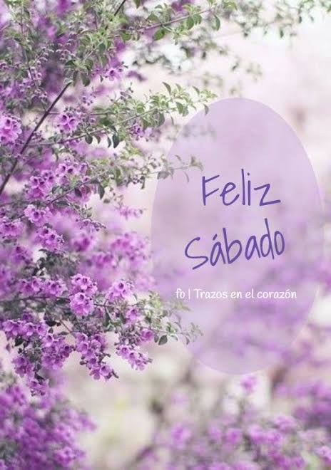 Imágenes y frases de Feliz Sábado