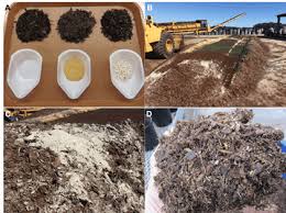 We did not find results for: Barkitecture Nursery Management