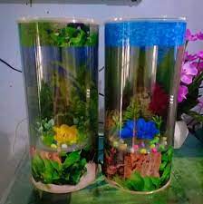 Memelihara binatang peliharaan seperti kucing dan anjing memang sangat menyenangkan. Aquarium Mini Ikan Hias å¸–å­ Facebook