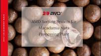 AMD Sorting System for Macadamia Nuts Processing Plant