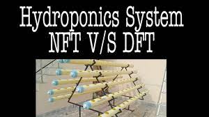 Dft hampir sama dengan sistem nft yaitu mensirkulasi namun, pada sistem ini instalasi yang digunakan tidak menggunakan kemiringan. Hydroponics System Nft V S Dft Youtube