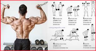 Best Workout Combination Back And Bicep Workout Compound Exercises